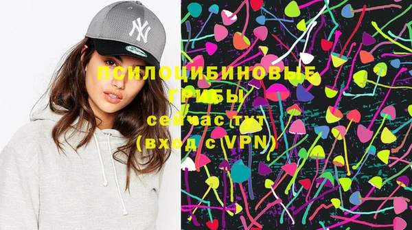 шишки Россошь