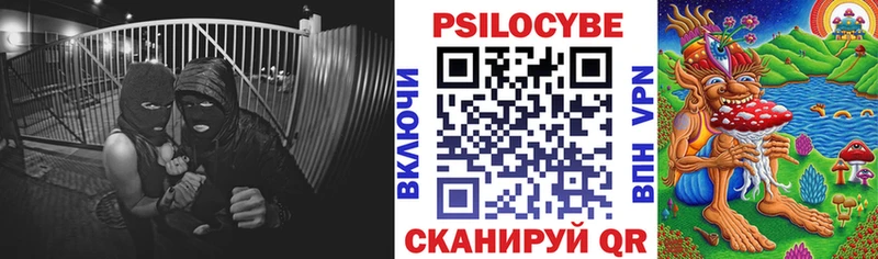 Галлюциногенные грибы MAGIC MUSHROOMS  Купить где  Иркутск 